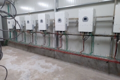 photo_2026-03-22_10-32-44