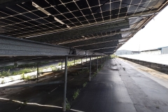 photo_2026-03-22_10-34-26