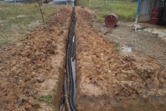 photo_2026-03-22_10-36-00